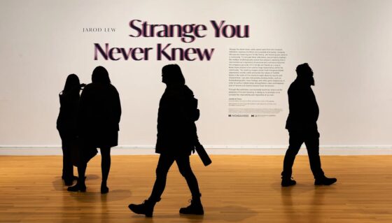 Visitors viewing an art exhibition titled 'Strange You Never Knew' by Jarod Lew at a gallery.