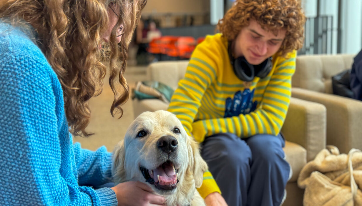 two people petting a golden retriever