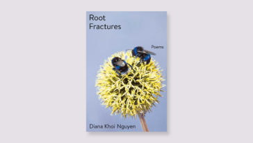 Book cover for Root Fractures