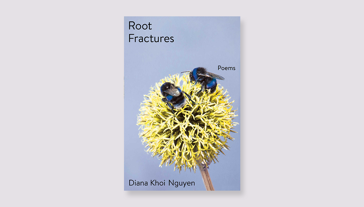 Book cover for Root Fractures