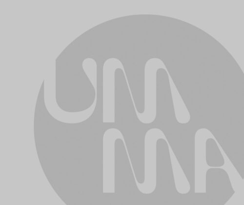 UMMA logo placeholder
